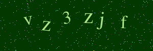 Validation image